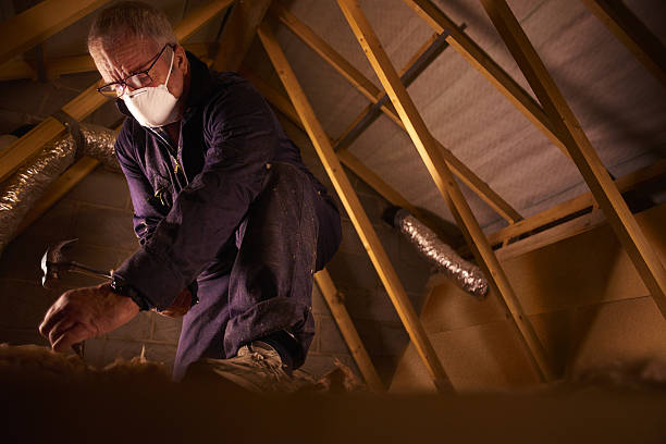 Best Eco-Friendly Insulation in Benton Park, CA